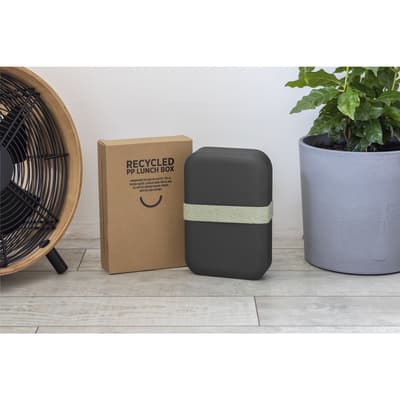 Amuse Recycled PP Lunch Box Large