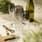 Smokey Champagneglas 180 ml